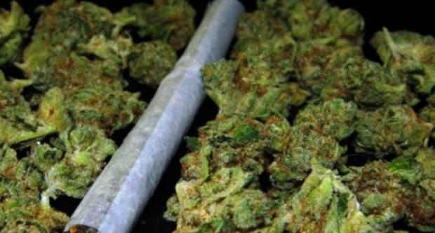 Kod 19-godišnjaka pronađena marihuana Kod 19-godišnjaka pronađena marihuana