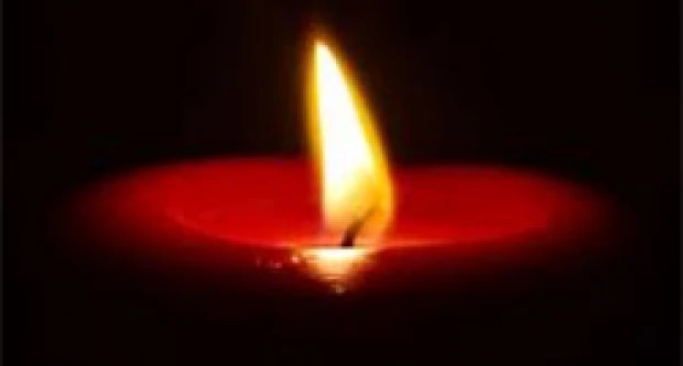 Preminuo ton majstor Željko Pok