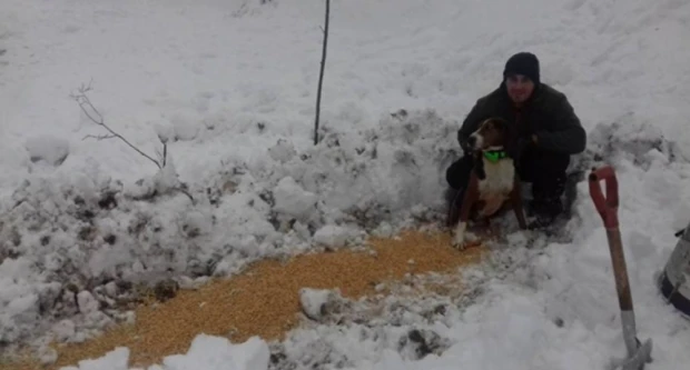 Slavonski lovci spašavaju divljač od velikih hladnoća