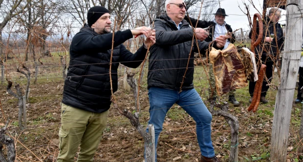 TRADICIJA NA VINKOMIRU: Proslava Vincelova u vinogradu obitelji Majstorović