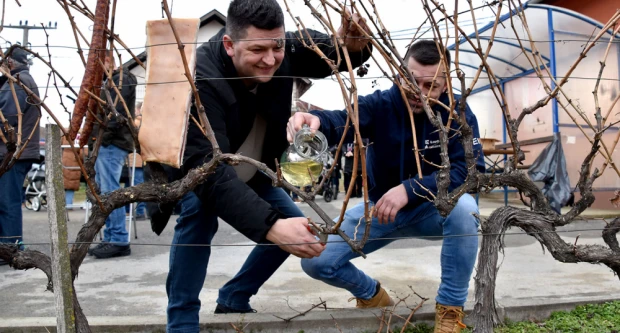 Iako nemaju vinarije, imaju srce za lozu: Podgorci dostojno proslavili blagdan sv. Vinka 