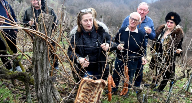 Vincelovo na krovu Požege: Branko Smolić proslavio početak vinogradarske godine na obroncima Sokolovca