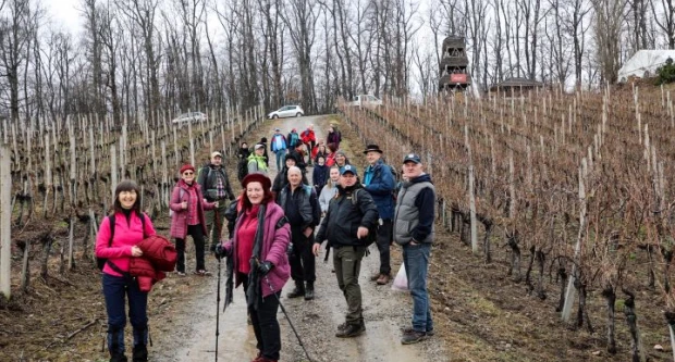 Koracima kroz vinograde i povijest Požeške gore: Zimski vincelovski pohod u Pleternici
