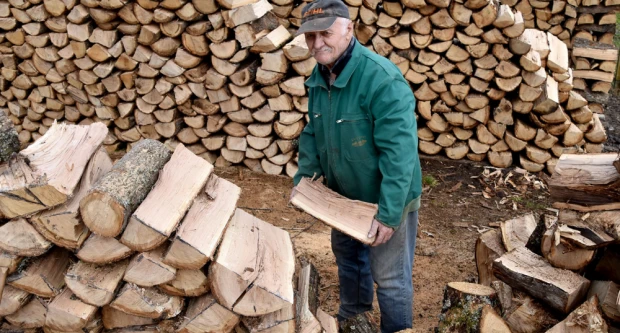 Zime se ne boji: Branko Guzmić iz Radovanaca već pripremio drva za sljedeću sezonu