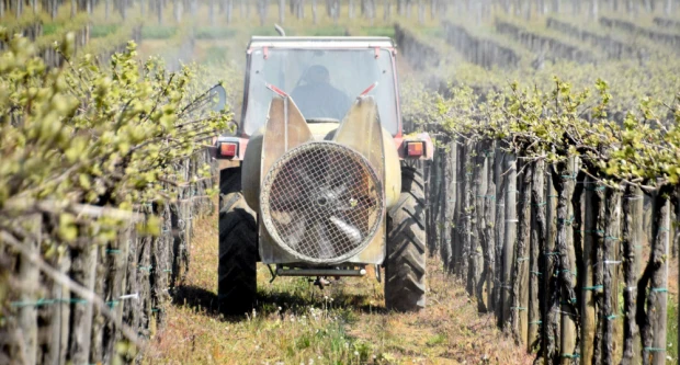 Vinogradari započeli zaštitu: Pravovremena reakcija ključ uspjeha sezone