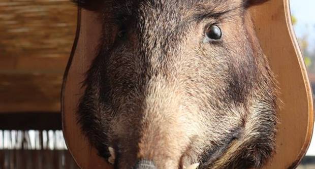 10. jubilarni sajam ʺSlavonski banovacʺ u Pakracu, 20.10.2018.