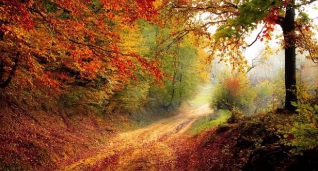 Temperatura se prepolovila, danas maksimalnih 7 °C Temperatura se prepolovila, danas maksimalnih 7 °C