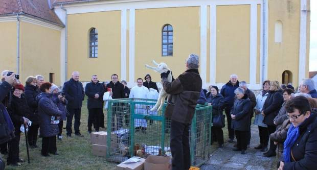 Uz blagoslov i licitaciju domaćih životinja proslavljen dan sv. Antuna Pustinjaka Uz blagoslov i licitaciju domaćih životinja proslavljen dan sv. Antuna Pustinjaka