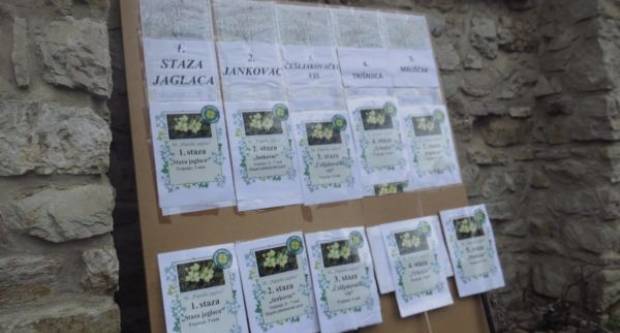 36. PAPUČKI JAGLACI- fotogalerija