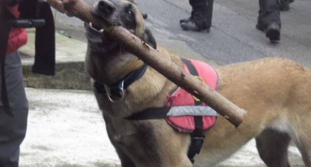 36. PAPUČKI JAGLACI- fotogalerija