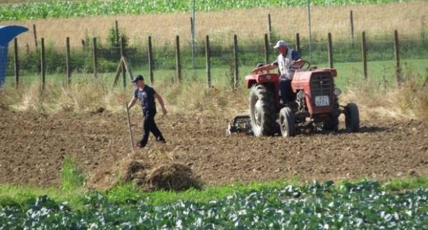 Predsjetvena priprema tla i sjetva kukuruza