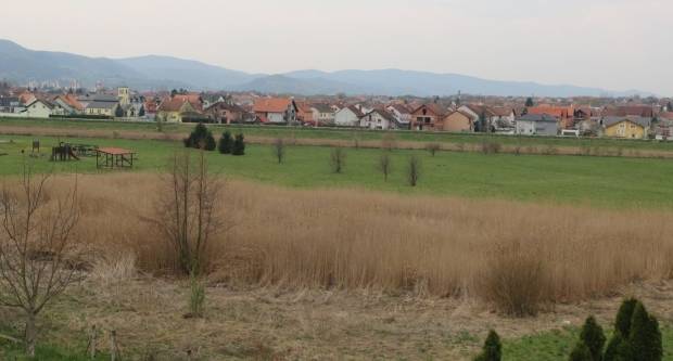 Mještani Ulice Hrvatskih branitelja: ʺGrad Požega svojim sugrađanima uzgaja lisice i zmije!ʺ