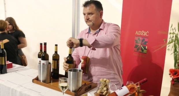 Utrka traktora u Kutjevu i sajam OPG-ova i PG-ova povodom Festivala graševine 2019.