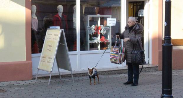 Subotnja šetnja Požegom 14.12.2019.