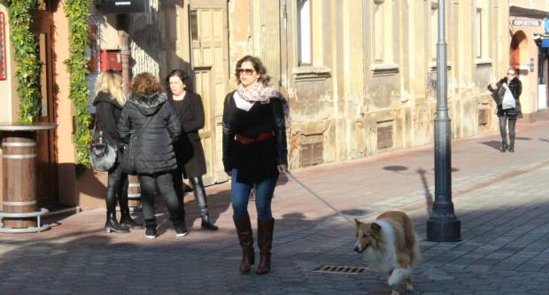 Subotnja šetnja Požegom 14.12.2019.