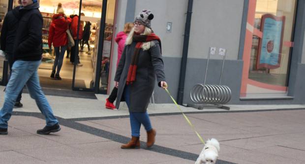 Subotnja šetnja Požegom 11.1.2020.