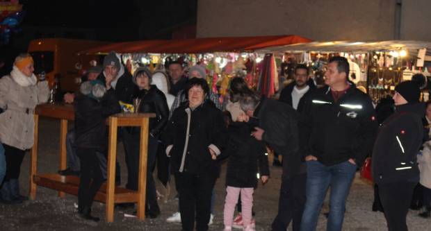 Vinkovo 2020. u Velikoj 22.1.2020.