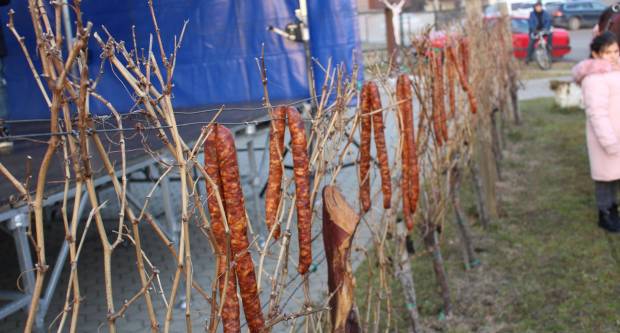 Vincelovo 2020. u Vetovu 25.1.2020.