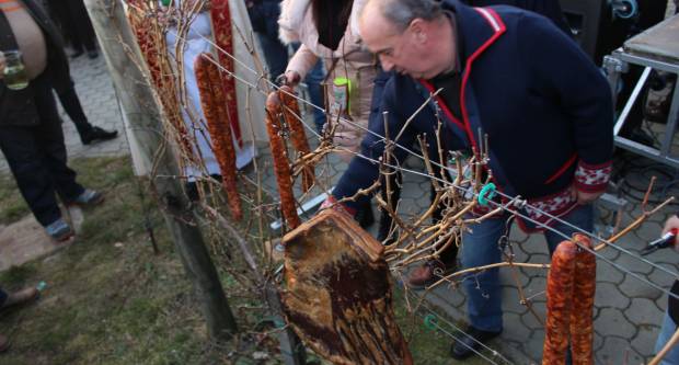 Vincelovo 2020. u Vetovu 25.1.2020.