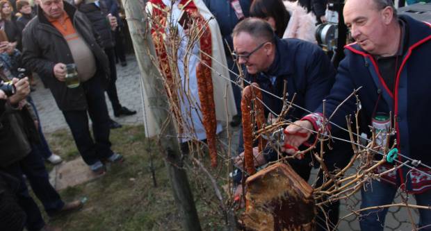 Vincelovo 2020. u Vetovu 25.1.2020.