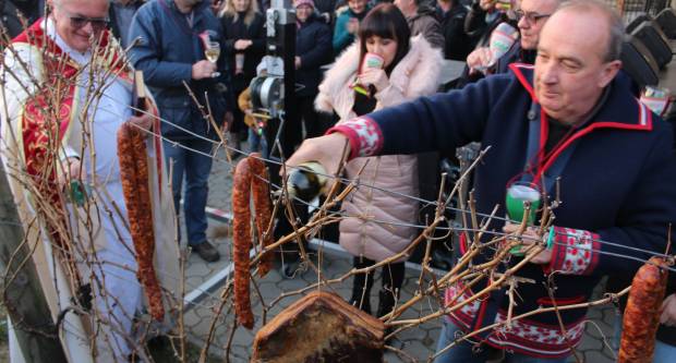 Vincelovo 2020. u Vetovu 25.1.2020.