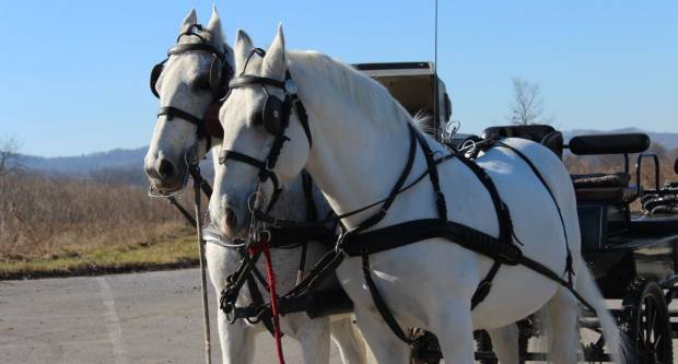 9. pokladno jahanje u Brodskom Drenovcu, 22.02.2020. g