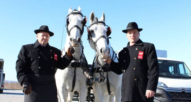 9. pokladno jahanje u Brodskom Drenovcu, 22.02.2020. g