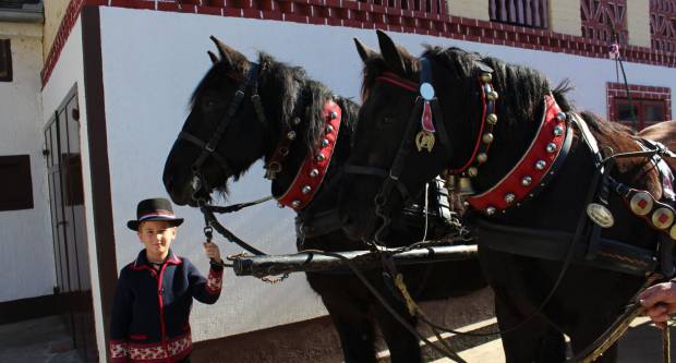 9. pokladno jahanje u Brodskom Drenovcu, 22.02.2020. g