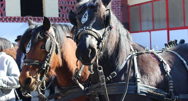 9. pokladno jahanje u Brodskom Drenovcu, 22.02.2020. g