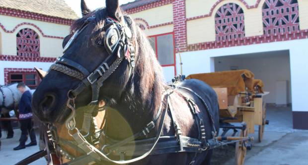9. pokladno jahanje u Brodskom Drenovcu, 22.02.2020. g