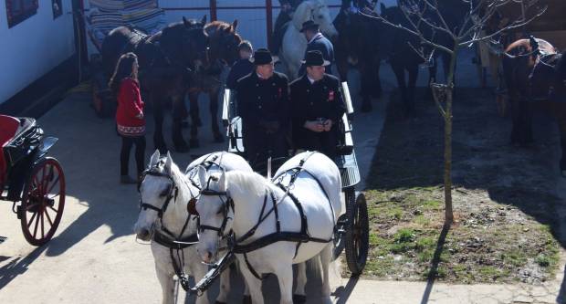 9. pokladno jahanje u Brodskom Drenovcu, 22.02.2020. g