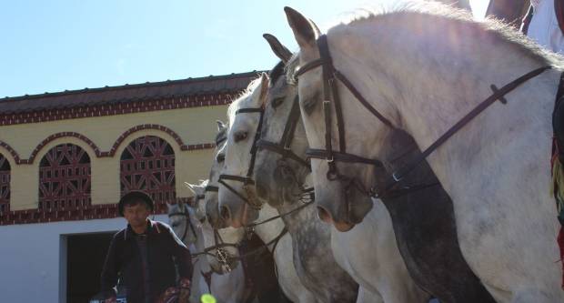 9. pokladno jahanje u Brodskom Drenovcu, 22.02.2020. g
