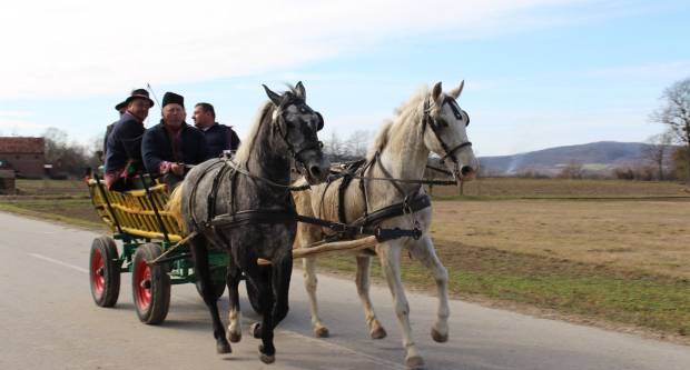 9. pokladno jahanje u Brodskom Drenovcu, 22.02.2020. g