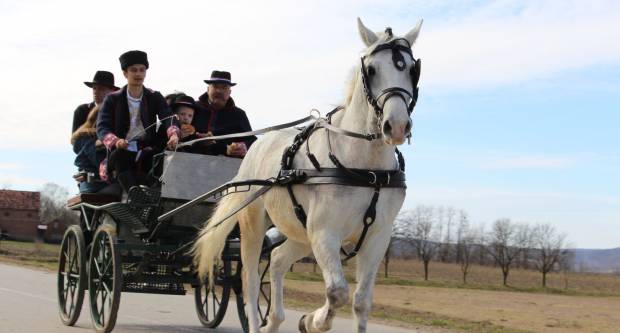 9. pokladno jahanje u Brodskom Drenovcu, 22.02.2020. g
