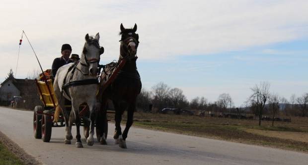 9. pokladno jahanje u Brodskom Drenovcu, 22.02.2020. g