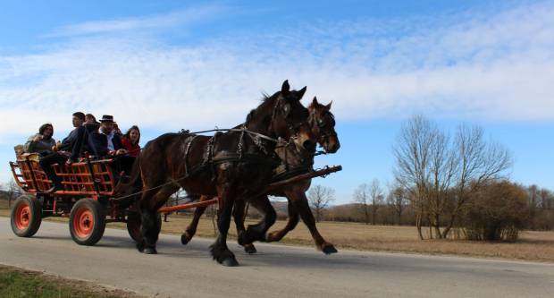 9. pokladno jahanje u Brodskom Drenovcu, 22.02.2020. g