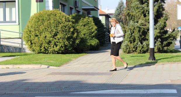 Fotogalerija subotnje šetnje Požegom i Pleternicom, građani se pridržavaju mjera 21.3.2020.