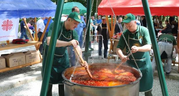 Požeški kotlić 2018.
