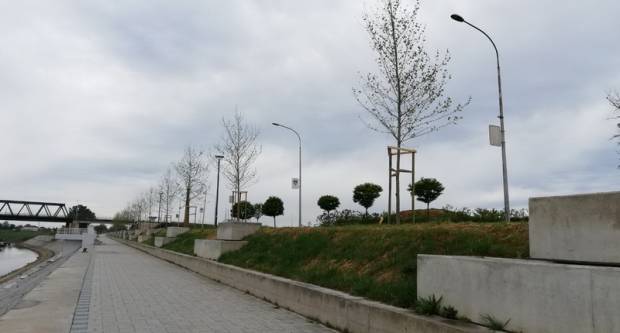 Ulice grada dobile nova stabla Ulice grada dobile nova stabla