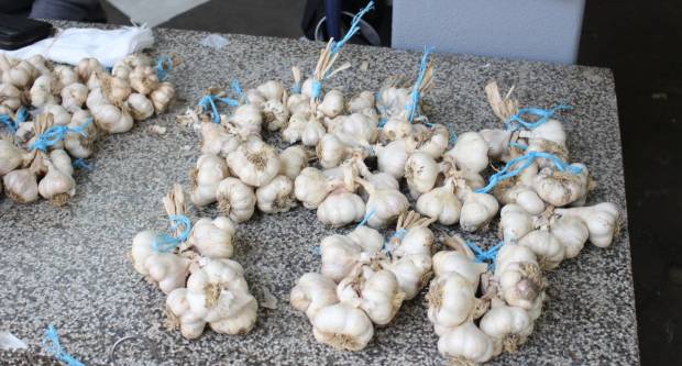 Ponuda četvrtkom na požeškoj tržnici 16.7.2020.