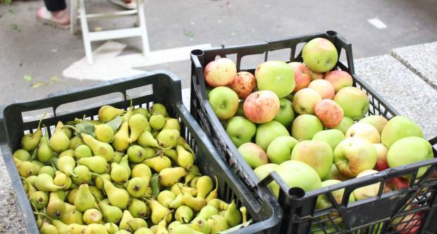 Ponuda četvrtkom na požeškoj tržnici 16.7.2020.