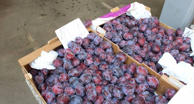 Ponuda četvrtkom na požeškoj tržnici 16.7.2020.