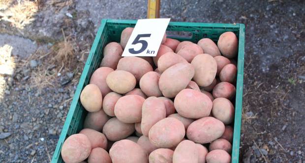 Ponuda četvrtkom na požeškoj tržnici 16.7.2020.