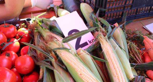 Ponuda četvrtkom na požeškoj tržnici 16.7.2020.