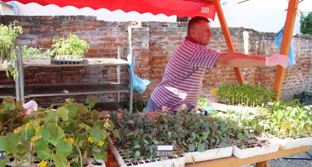 Ponuda četvrtkom na požeškoj tržnici 16.7.2020.