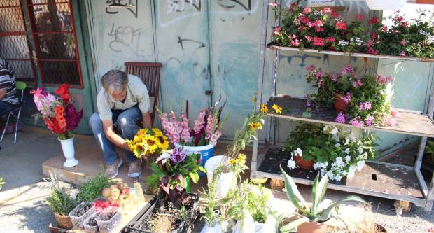 Ponuda četvrtkom na požeškoj tržnici 16.7.2020.