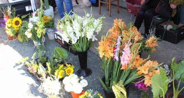 Ponuda četvrtkom na požeškoj tržnici 16.7.2020.