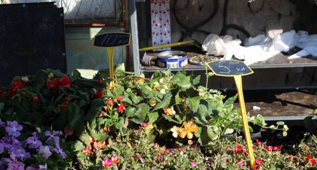 Ponuda četvrtkom na požeškoj tržnici 16.7.2020.