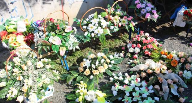 Ponuda četvrtkom na požeškoj tržnici 16.7.2020.