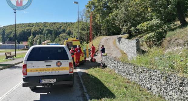 HGSS-ovci jutros pomagali planinarima koje su na Papuku izboli stršljeni HGSS-ovci jutros pomagali planinarima koje su na Papuku izboli stršljeni